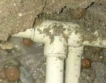 富县测漏水多少钱