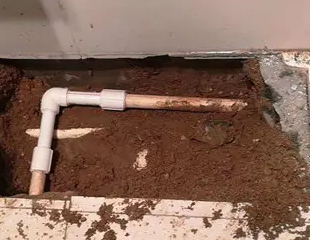 富县测漏水哪家好