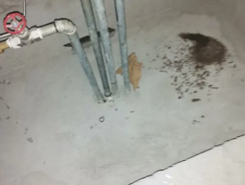 富县卫生间测漏水价格明细