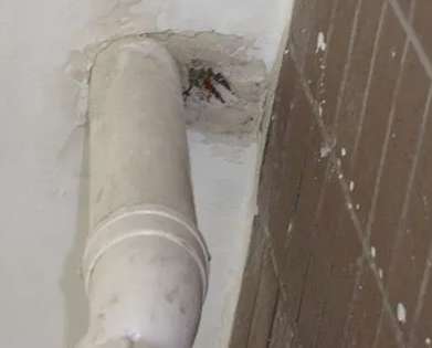 富县漏水检测哪家好